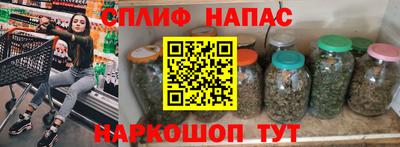 крисы Кингисепп
