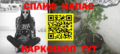 крисы Кингисепп