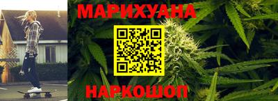 крисы Кингисепп