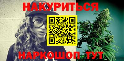 крисы Кингисепп