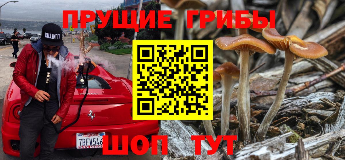где найти   Вход с VPN  Красный Сулин  Галлюциногенные грибы прущие грибы  Псилоцибиновые грибы прущие грибы 